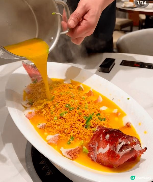 尖沙咀私房菜驚喜！豪門同款菜🤩