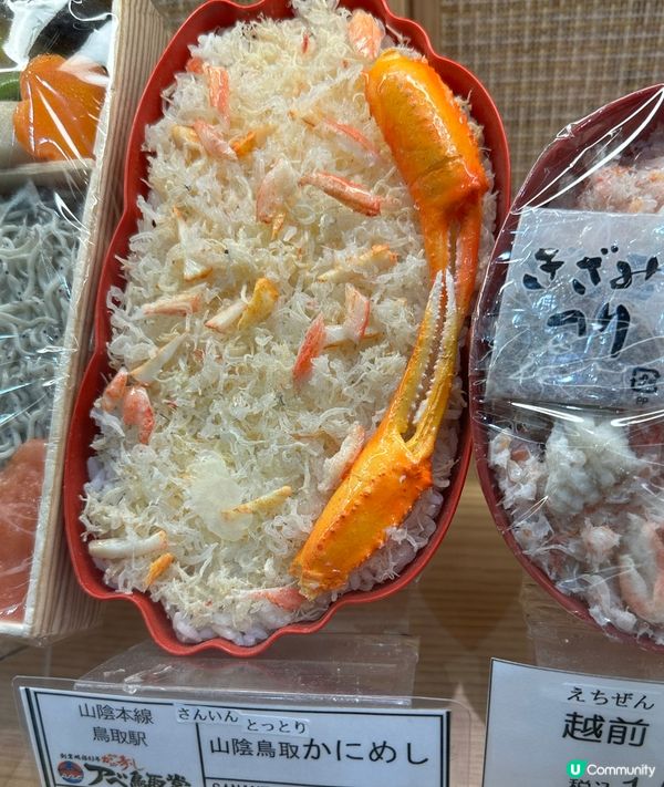 🇯🇵鐵路模型便當!🚂🍱