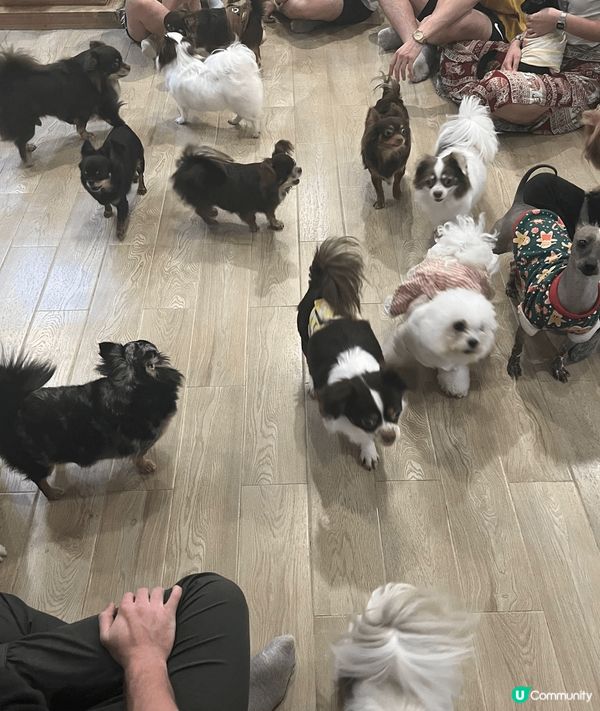 鍾意小動物又鍾意打卡嘅你，去曼谷就最好不過～