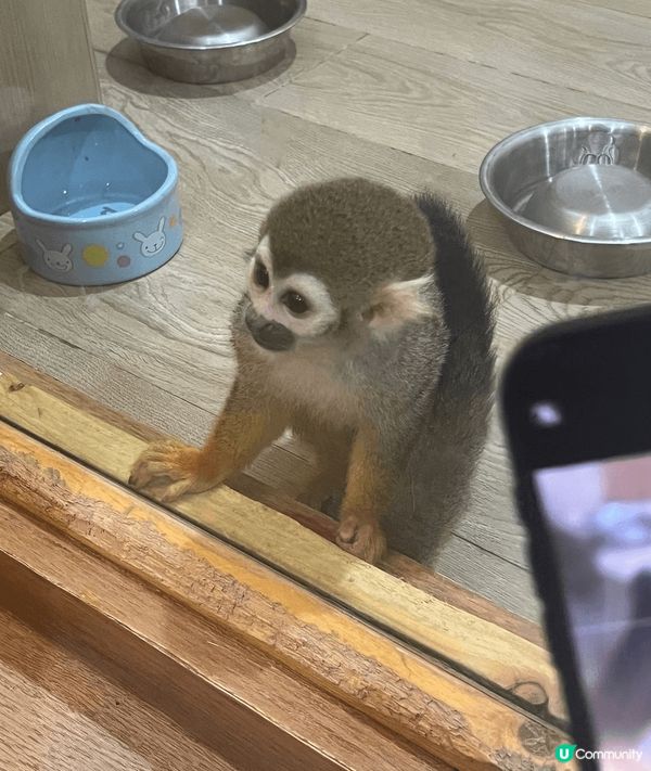 鍾意小動物又鍾意打卡嘅你，去曼谷就最好不過～