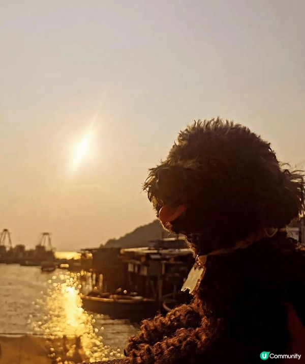 香港這個節奏急促的地方，忙碌的香港人，有時候都需要去離島走走...