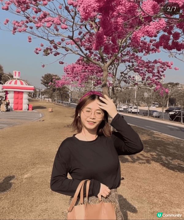 之前同屋企人去咗位於深圳南山區嘅深圳灣公園，前往方法非常簡單...