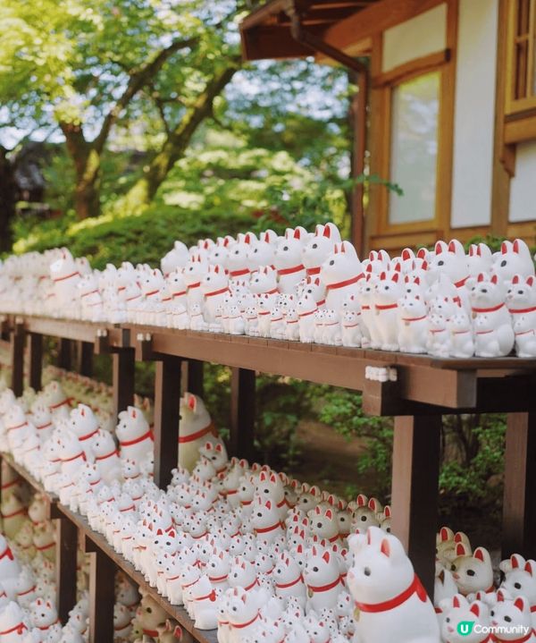 🐱貓貓寺廟—豪德寺