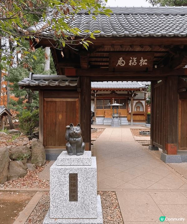 🐱貓貓寺廟—豪德寺