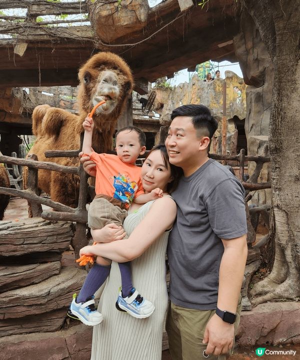 趁住暑假我就近近地帶?小朋友去左珠海順德三日遊