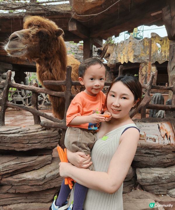 趁住暑假我就近近地帶?小朋友去左珠海順德三日遊