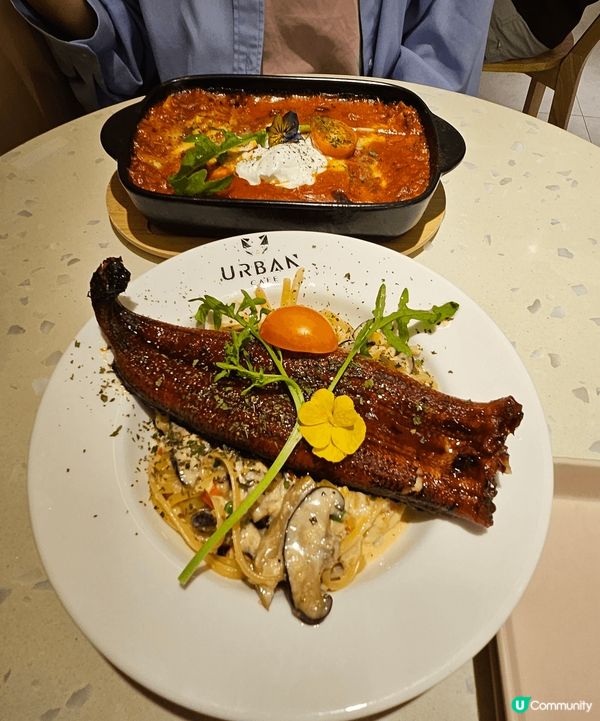 Urban cafe,可以非常近距離同貓貓玩，食物都幾好吃，...