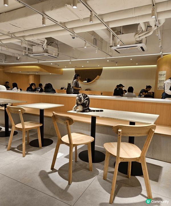 Urban cafe,可以非常近距離同貓貓玩，食物都幾好吃，...