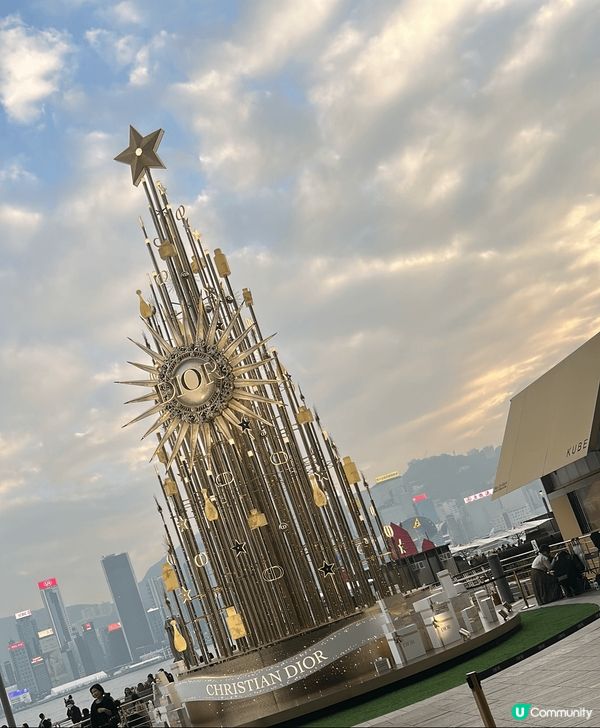 期待聖誕節既到來，每次都會去尖沙咀呢邊，有靚靚聖誕樹嘅打卡！...