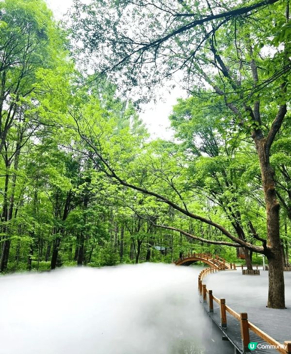 長白山夏日真係靚到爆！天池水清似鏡，倒映住藍天白雲，四周綠樹...