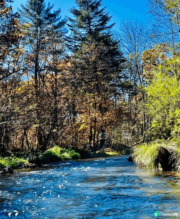 長白山夏日真係靚到爆！天池水清似鏡，倒映住藍天白雲，四周綠樹...