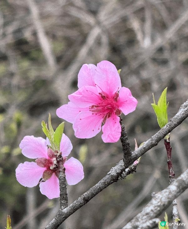 橘子洲头 湘江北，南昌吃拌粉#chill嘆酒店旅遊祭