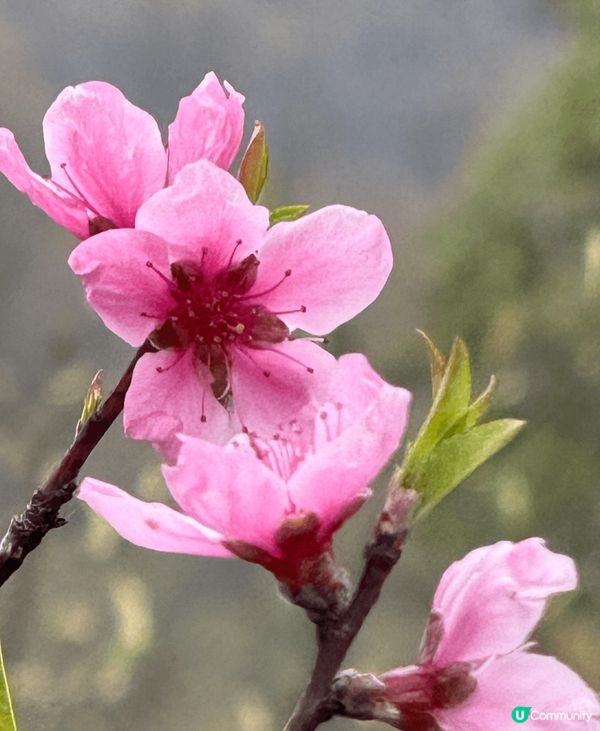 橘子洲头 湘江北，南昌吃拌粉#chill嘆酒店旅遊祭