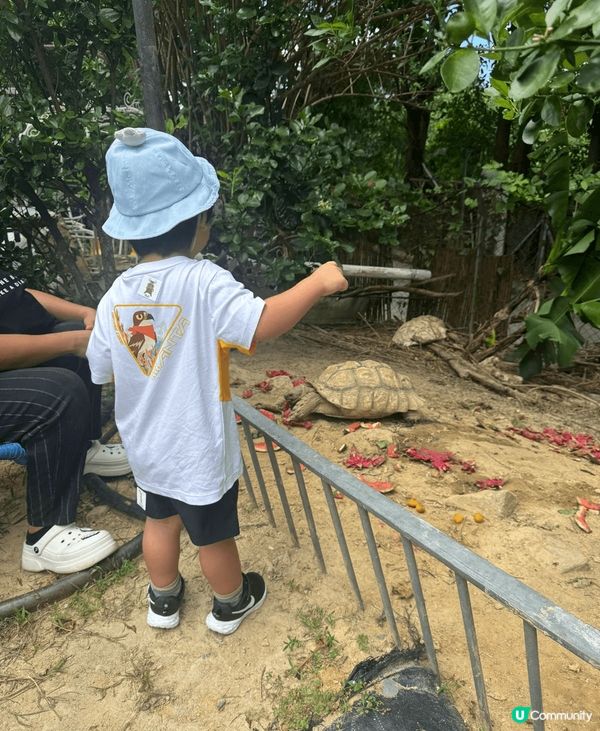 有個一家大小可參加的活動介紹比大家🥰🥰🥰地方叫童遊花園，我同...