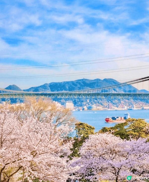 火之山公園🌸 瀨戶內海旁粉紅仙境！
