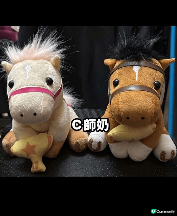 我在馬會購買的馬仔