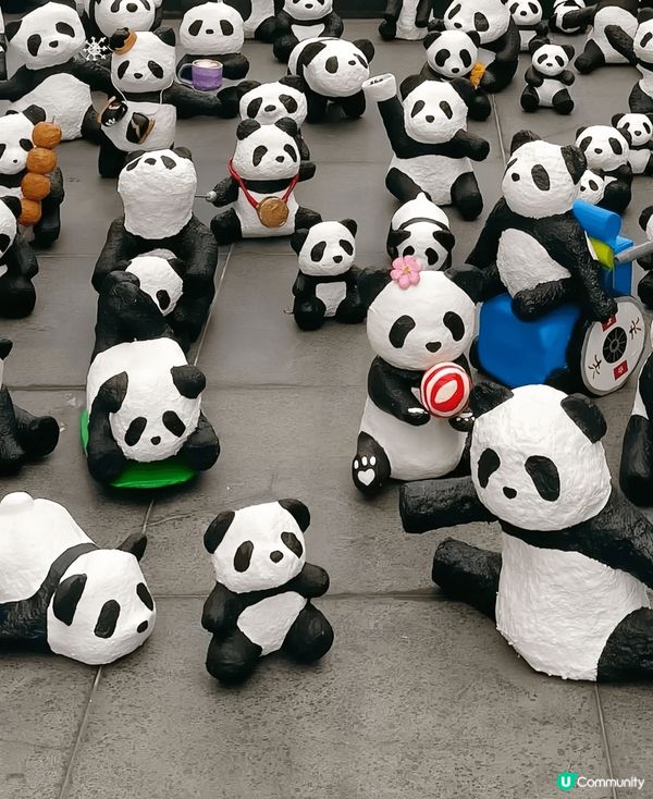 百年歷史建築群、漢學文化、園林池塘每一處都彰顯著中式古典美學...