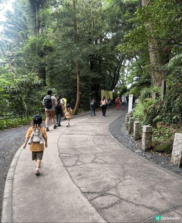 人結地靈嘅高尾山@日本東京。