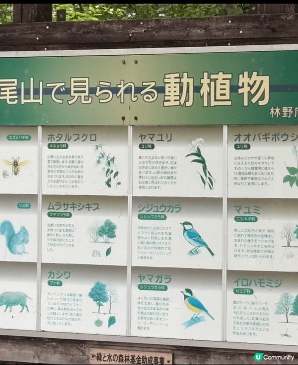 人結地靈嘅高尾山@日本東京。