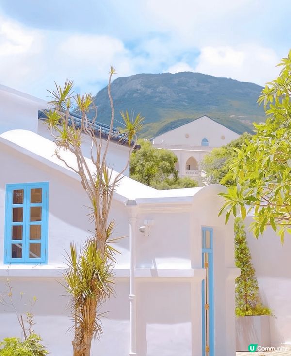 矗立在半山上的薄鳧林牧場，前身是舊牛奶公司高級職員宿舍，現在...