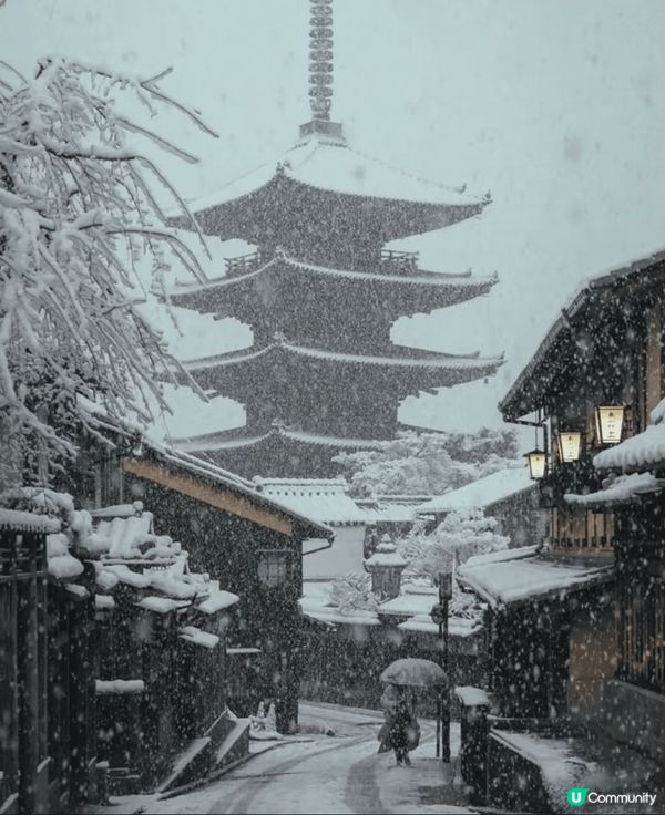 冬日游關西，真係超靓😍😍