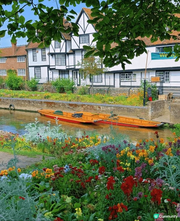 莫奈花園現實版！🎨 坎特伯雷打卡📸