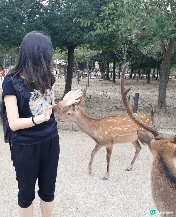 日本之旅收穫滿滿，其中最令人難以忘懷者，莫過於親嚐了傳說中的...