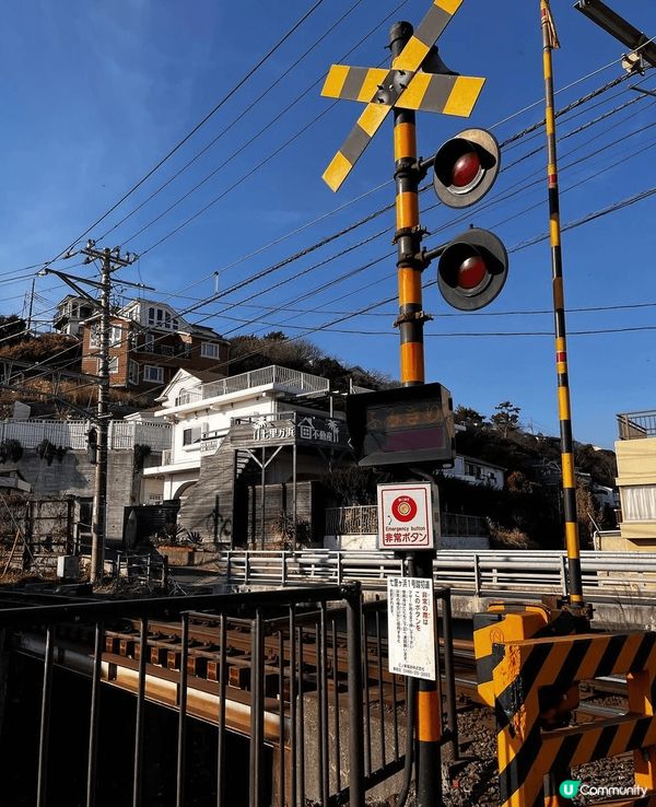 🌸花之御寺🏯