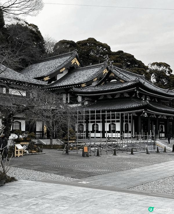 🌸花之御寺🏯