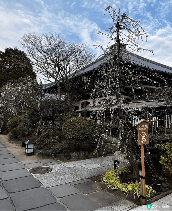 🌸花之御寺🏯