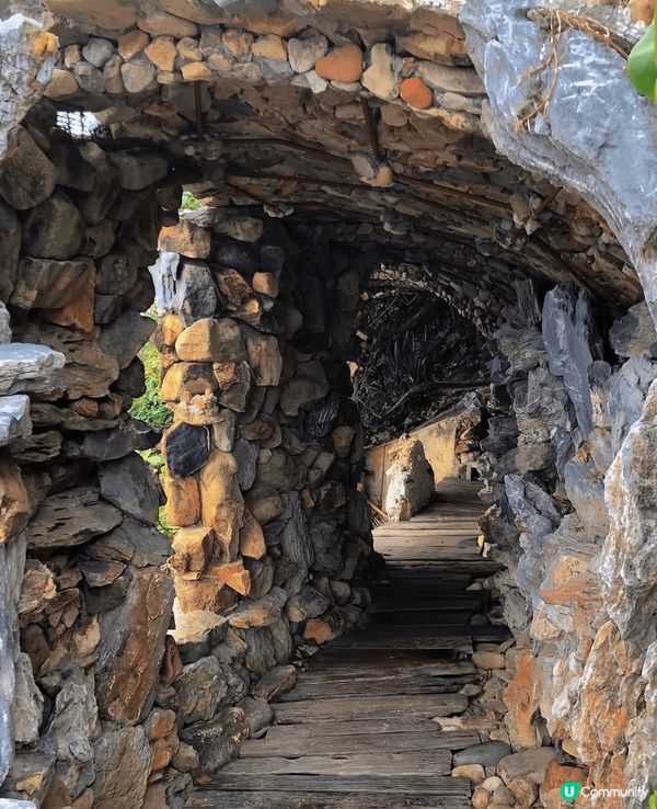 《小棕林沙灘》