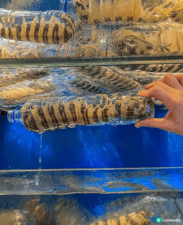 大排檔不僅是香港人黃金年代的味蕾記憶，更是外地遊客了解港式美...