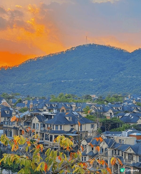 打卡白石龍音樂主題公園，地址喺深圳市龍華區新區大道同金龍路交...