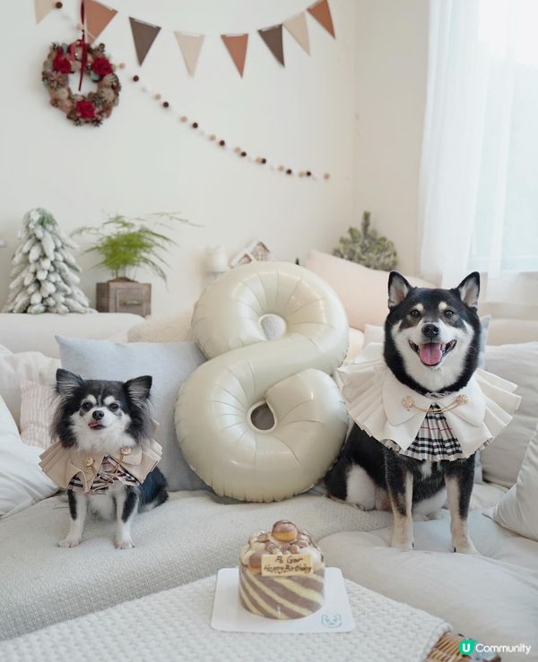 ʜᴀᴘᴘʏ ʙɪʀᴛʜᴅᴀʏ 大佬寶ʕ•ᴥ•ʔ🎊