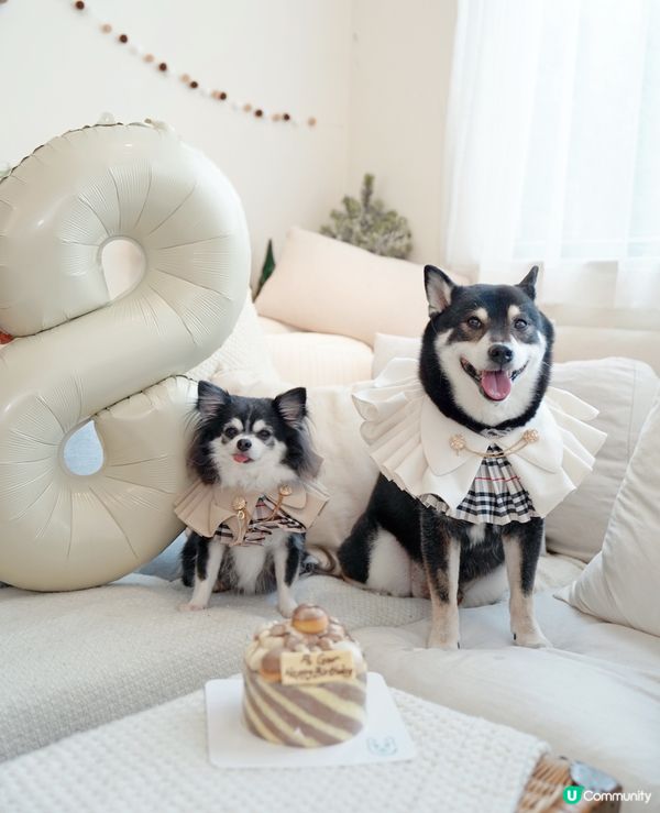 ʜᴀᴘᴘʏ ʙɪʀᴛʜᴅᴀʏ 大佬寶ʕ•ᴥ•ʔ🎊