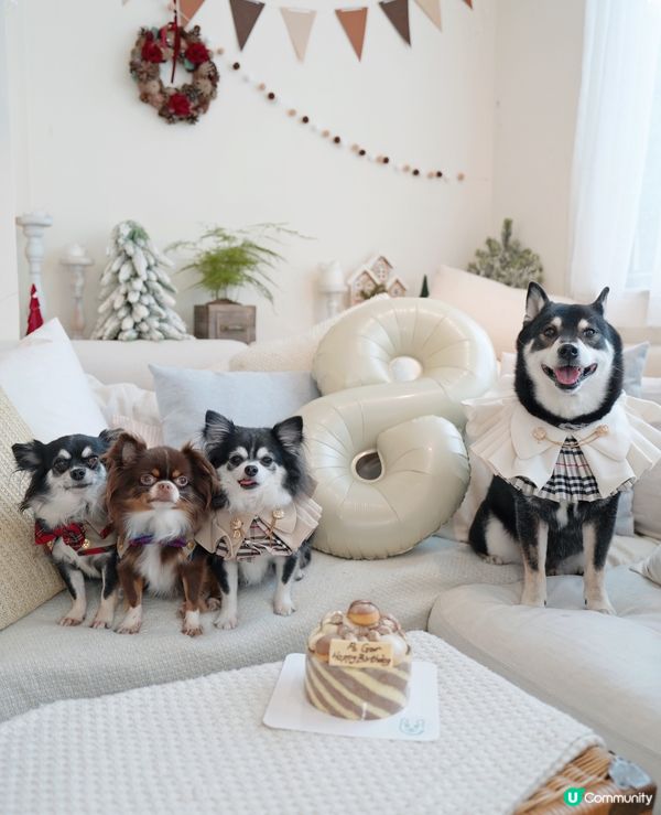 ʜᴀᴘᴘʏ ʙɪʀᴛʜᴅᴀʏ 大佬寶ʕ•ᴥ•ʔ🎊