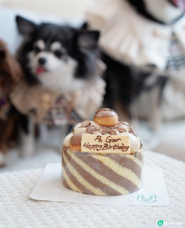 ʜᴀᴘᴘʏ ʙɪʀᴛʜᴅᴀʏ 大佬寶ʕ•ᴥ•ʔ🎊