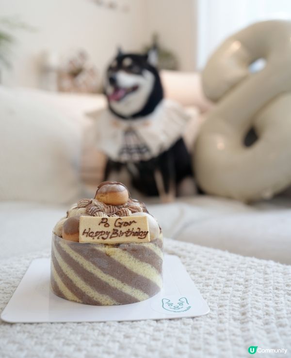 ʜᴀᴘᴘʏ ʙɪʀᴛʜᴅᴀʏ 大佬寶ʕ•ᴥ•ʔ🎊