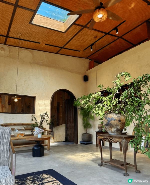 有人話，深圳是鋼筋森林，直到我誤入「雲深不知處」，方知這隱匿...