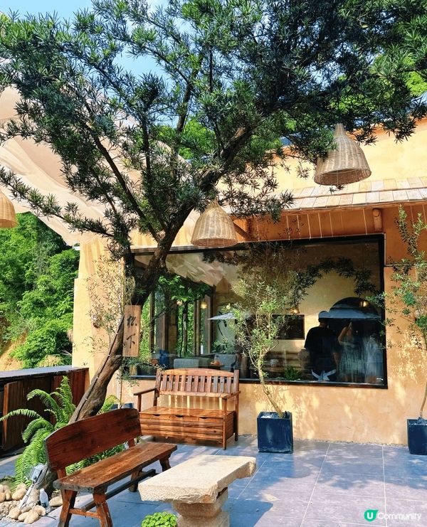 有人話，深圳是鋼筋森林，直到我誤入「雲深不知處」，方知這隱匿...