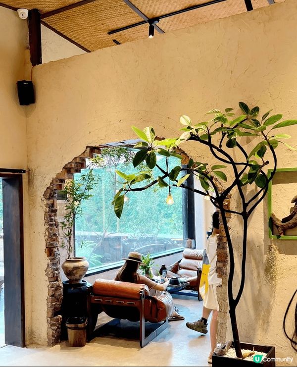 有人話，深圳是鋼筋森林，直到我誤入「雲深不知處」，方知這隱匿...