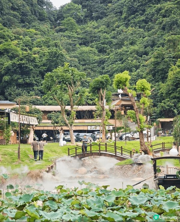 有人話，深圳是鋼筋森林，直到我誤入「雲深不知處」，方知這隱匿...