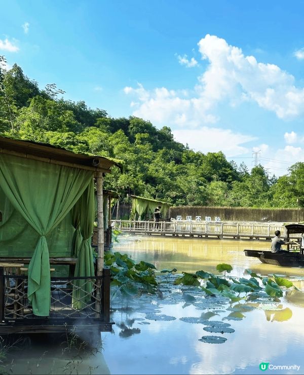 有人話，深圳是鋼筋森林，直到我誤入「雲深不知處」，方知這隱匿...