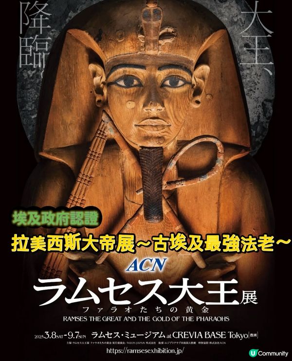 🔥拉美西斯大帝展～古埃及最強法老降臨日本