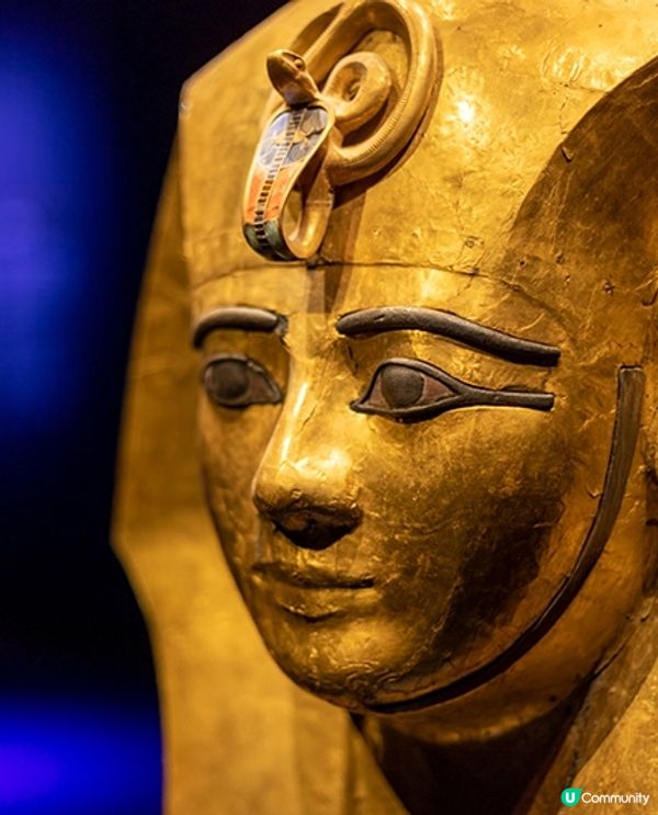 🔥拉美西斯大帝展～古埃及最強法老降臨日本