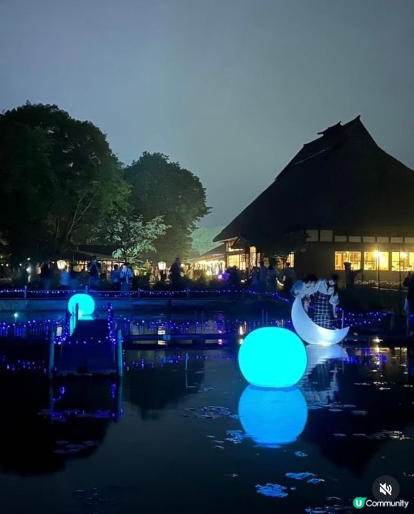 勁浪漫魯冰花光影盛宴✨