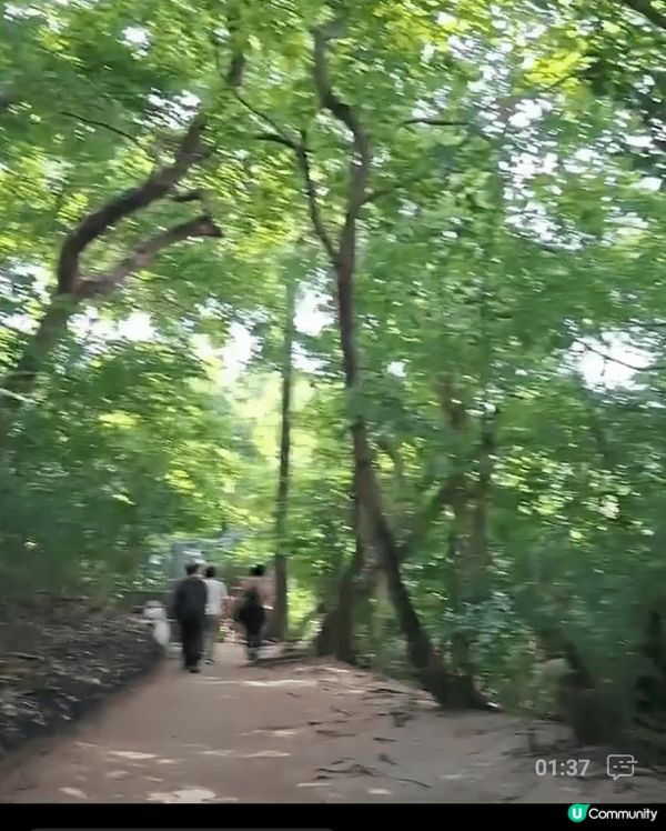 香港歷史深水埗前配水库，现在不用预约喇。。