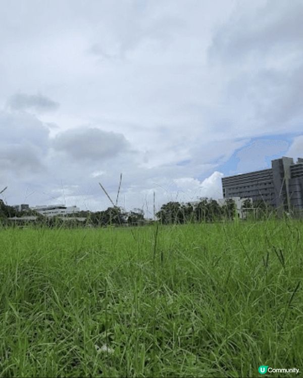 香港歷史深水埗前配水库，现在不用预约喇。。