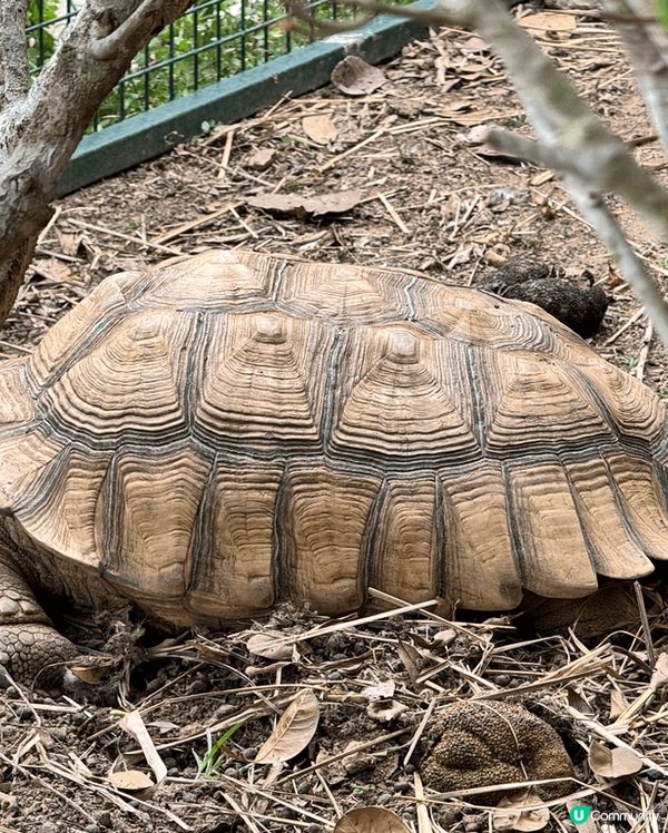 推介大家一定要去位於荃灣荃錦公路78號雷公田,甲龍村的農場鮮...