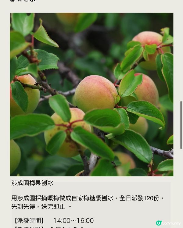 酒店免費禮遇💖有得食、有得玩